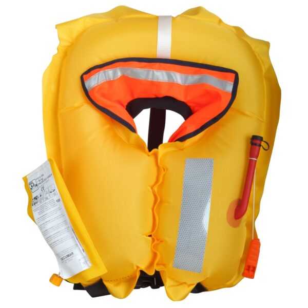 Vivo 100 aufgeblasen Vivo 100 aufgeblasen