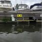 Livhanken underhangd 6
