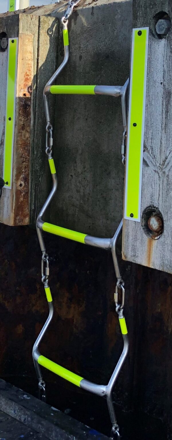 Nya livlejdaren 2 Nya livlejdaren 2