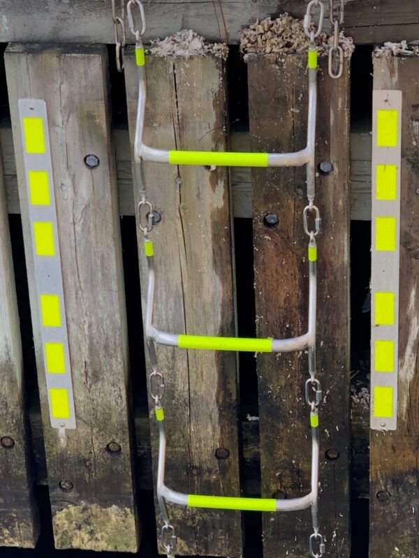 Nya livlejdaren Nya livlejdaren